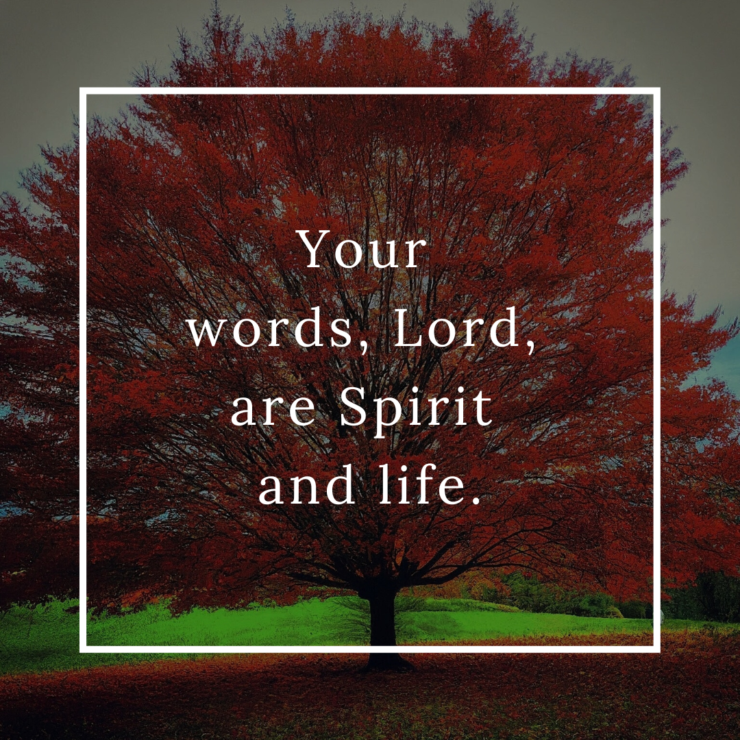 Your Words, Lord, Are Spirit And Life